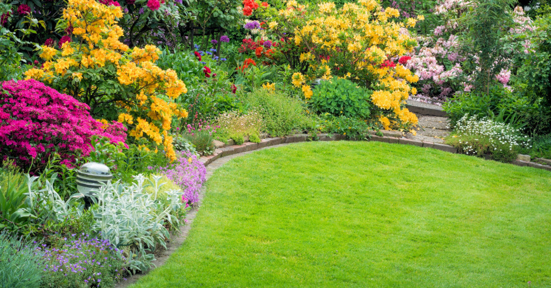 How To Get A Lush Lawn Using Organic Fertiliser