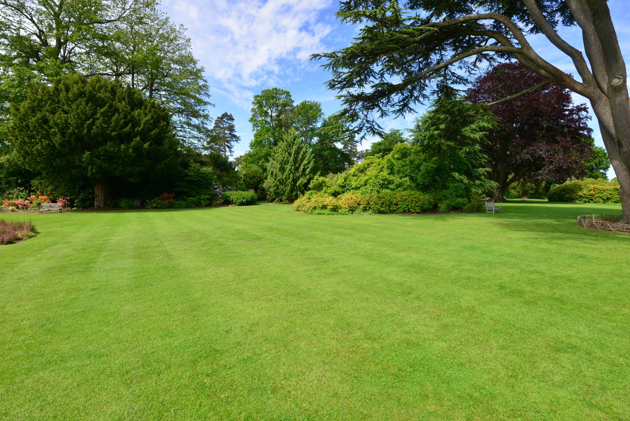 Economy Landscape Grass Seed Mix 20kg