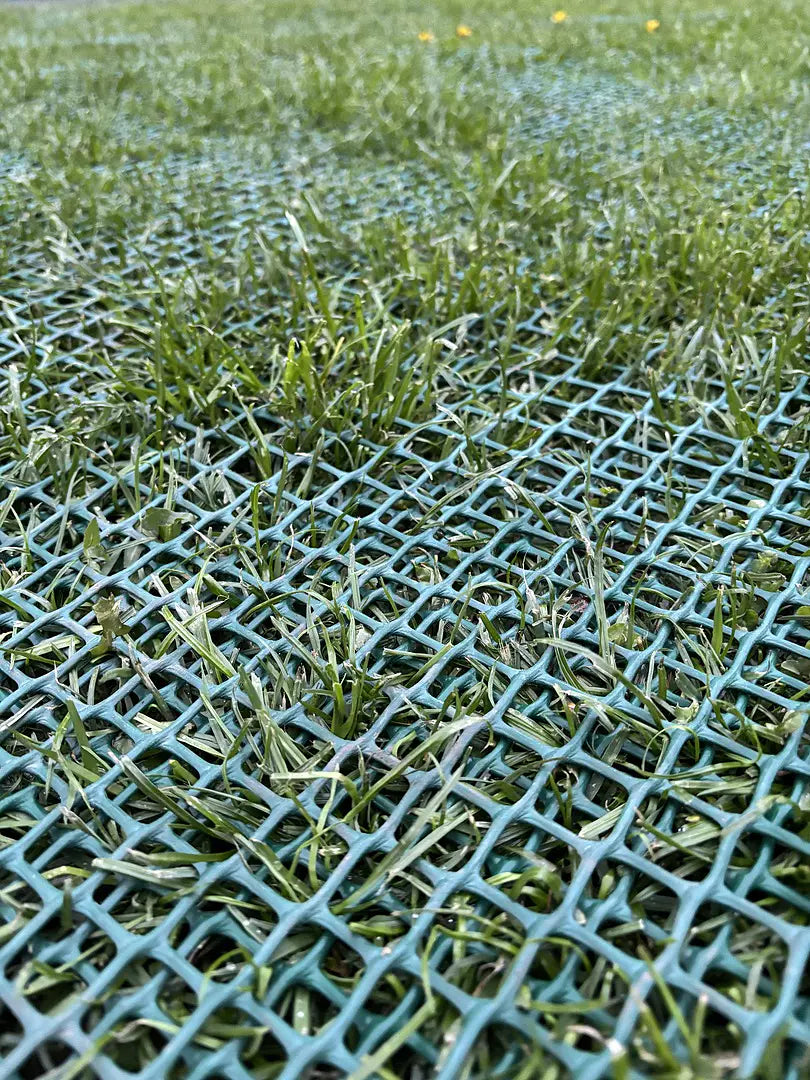 Grass Reinforcement Mesh Premium